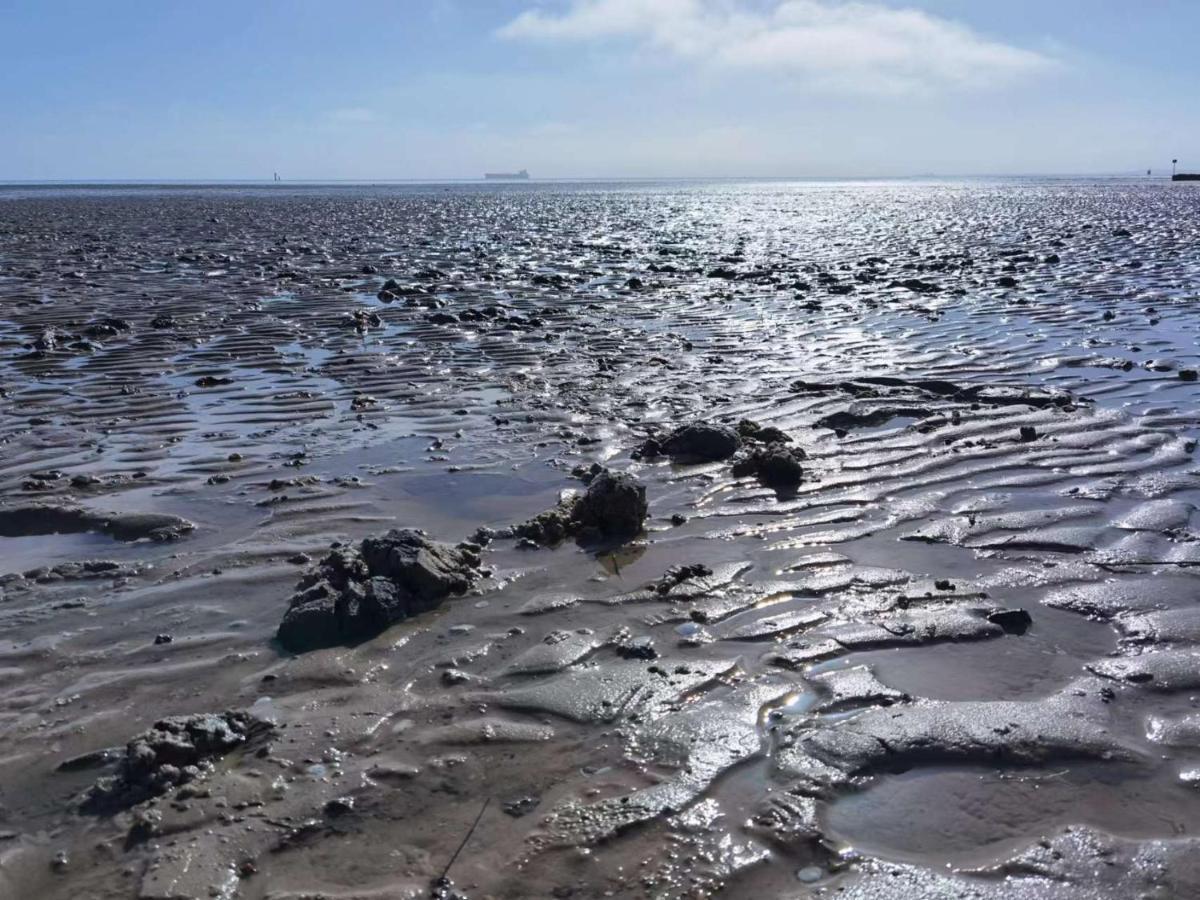Schaake Schillig-Strandnahe Wohlfuehloase Mit Modernem Flair Und Kostenlosem Parken Kültér fotó
